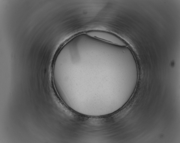 X0000089450840200707061241