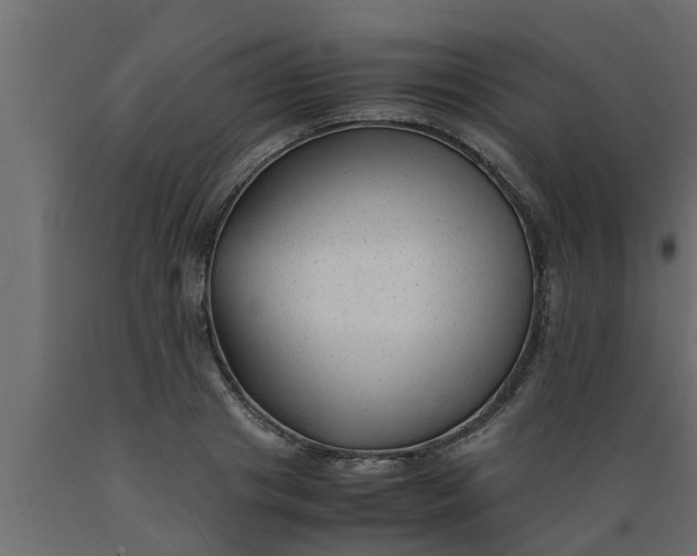 X0000089450841200707061241