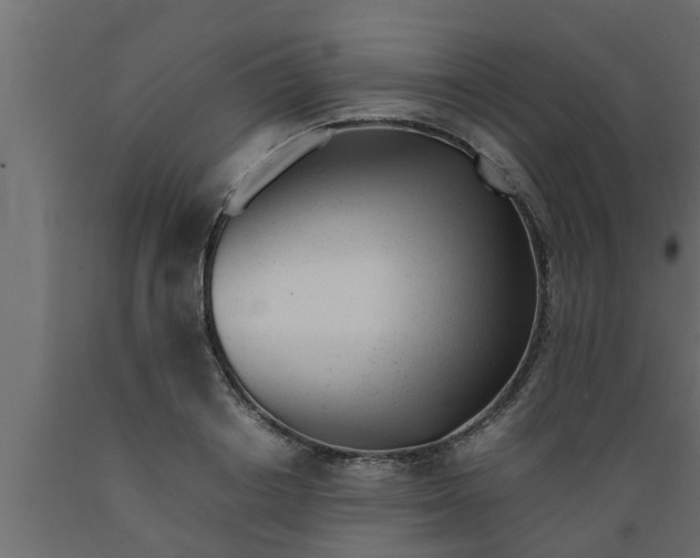 X0000089450842200707061241