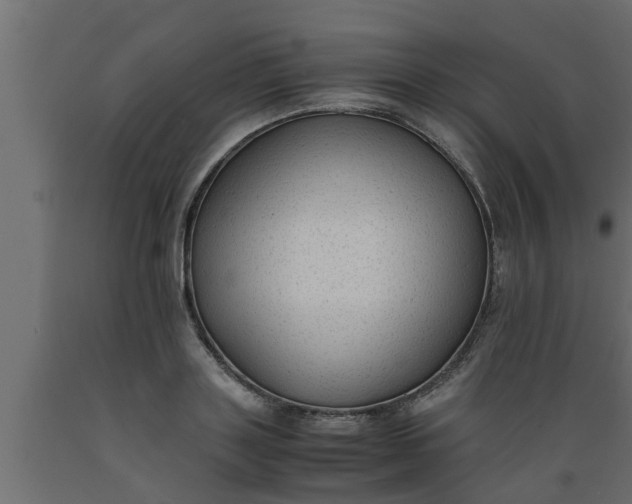 X0000089450843200707061241