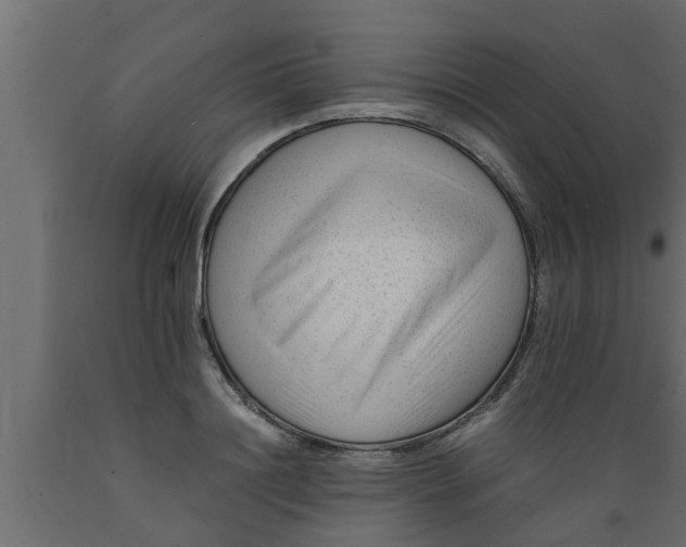 X0000089450844200707061241