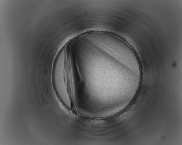 X0000089450845200707061241