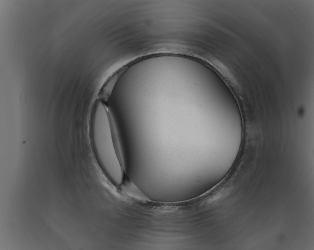 X0000089450846200707061241