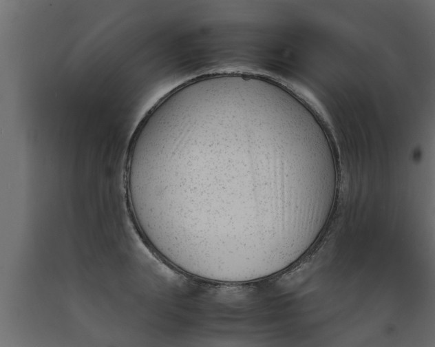 X0000089450847200707061241