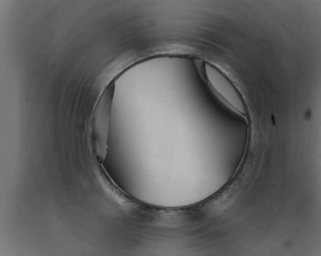 X0000089450850200707061241