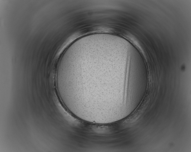 X0000089450851200707061241