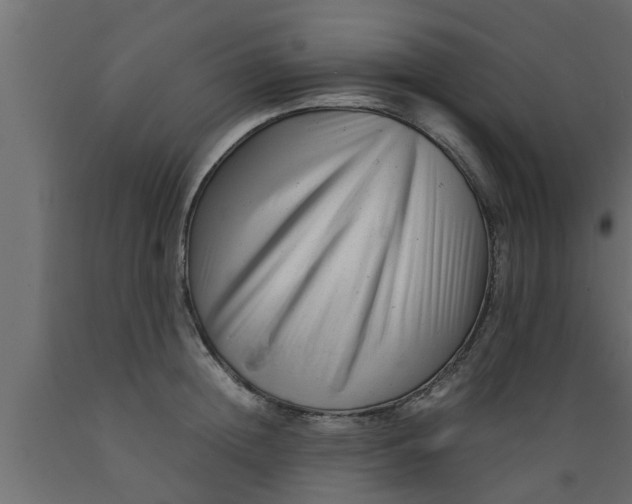 X0000089450852200707061241