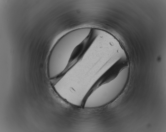 X0000089450854200707061241