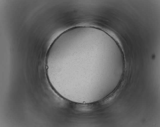 X0000089450855200707061241