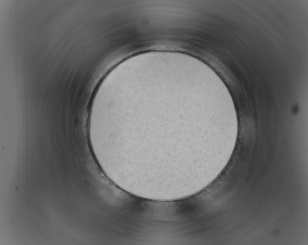 X0000089450856200707061241