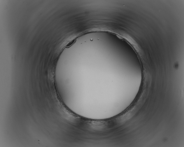 X0000089450857200707061241