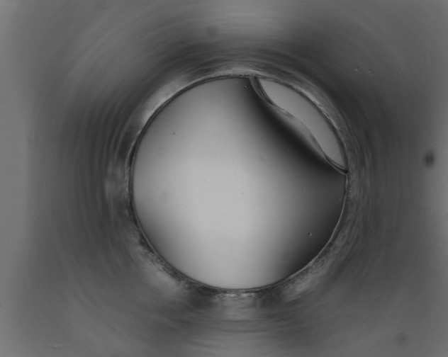 X0000089450858200707061241