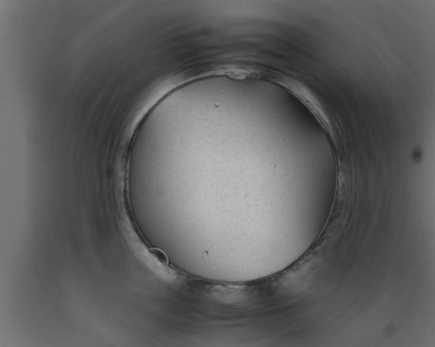 X0000089450859200707061241