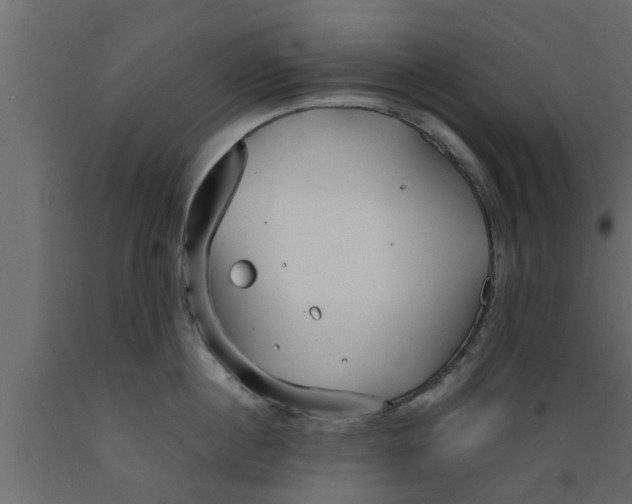 X0000089450860200707061241