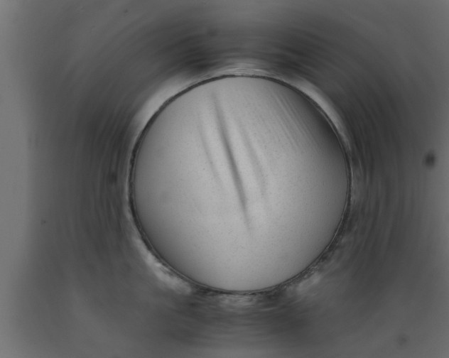 X0000089450861200707061241