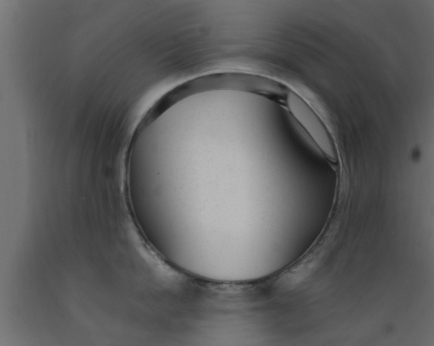 X0000089450862200707061241