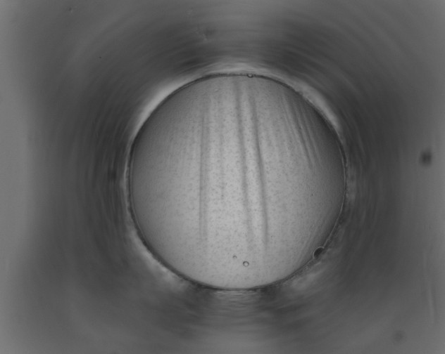 X0000089450863200707061241