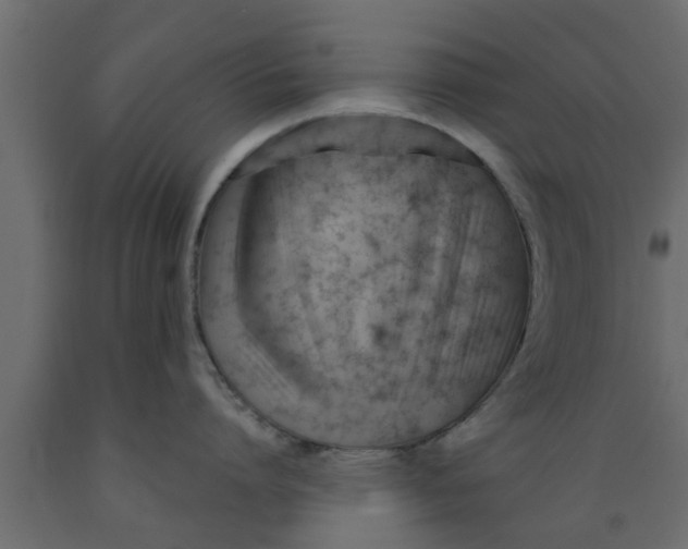 X0000089450864200707061241