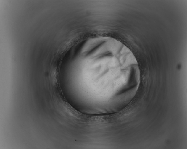 X0000089450866200707061240