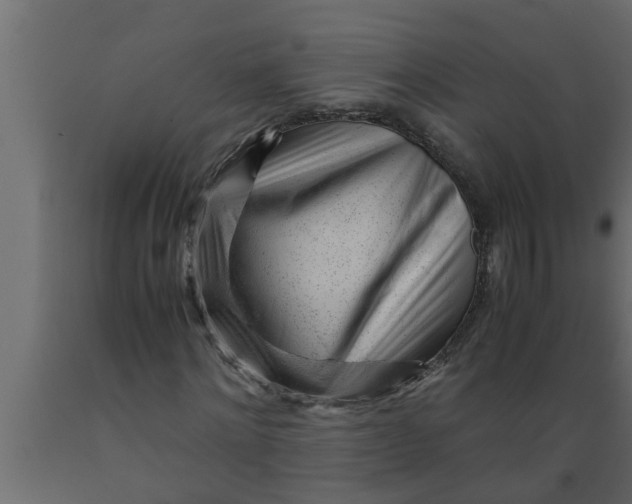 X0000089450868200707061240