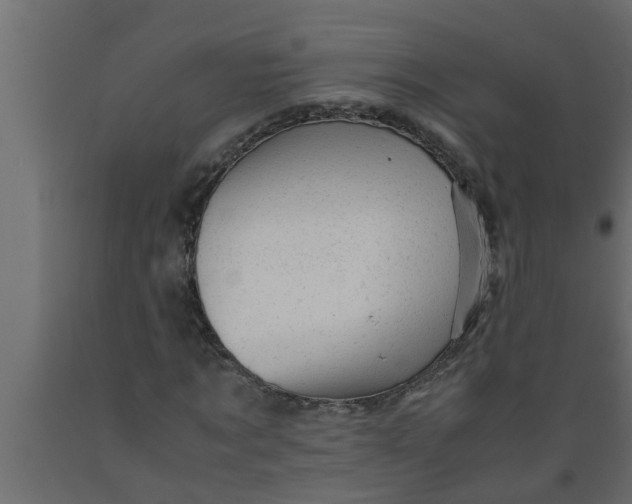 X0000089450869200707061240