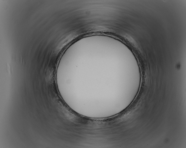 X0000089450873200707061240