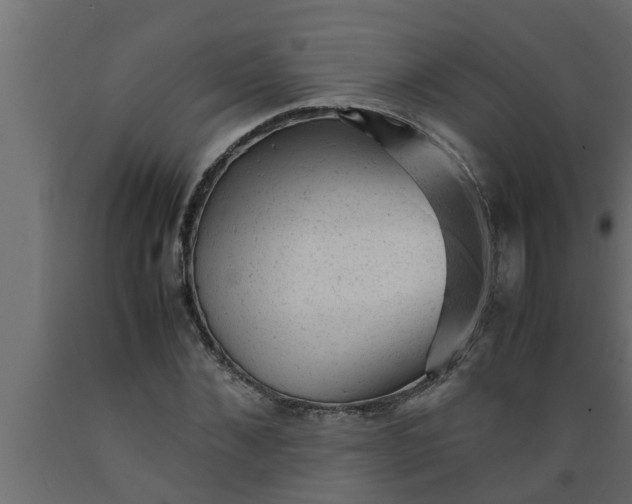 X0000089450876200707061240