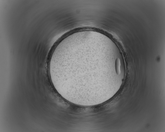 X0000089450879200707061240