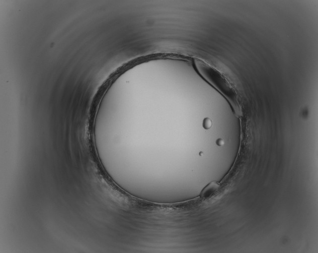 X0000089450880200707061240