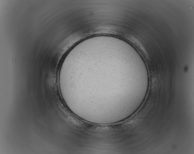 X0000089450882200707061240