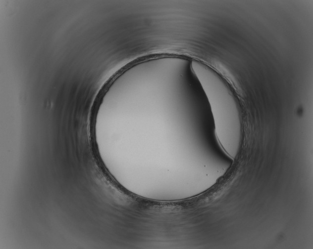 X0000089450884200707061240