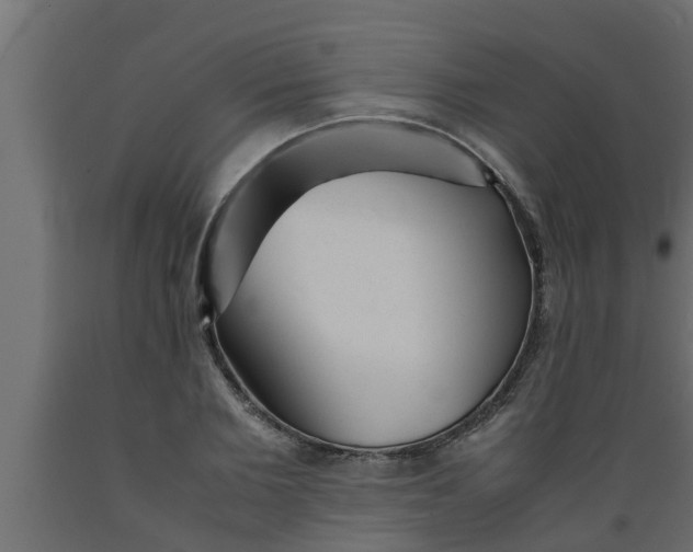 X0000089450885200707061240