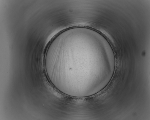 X0000089450886200707061240