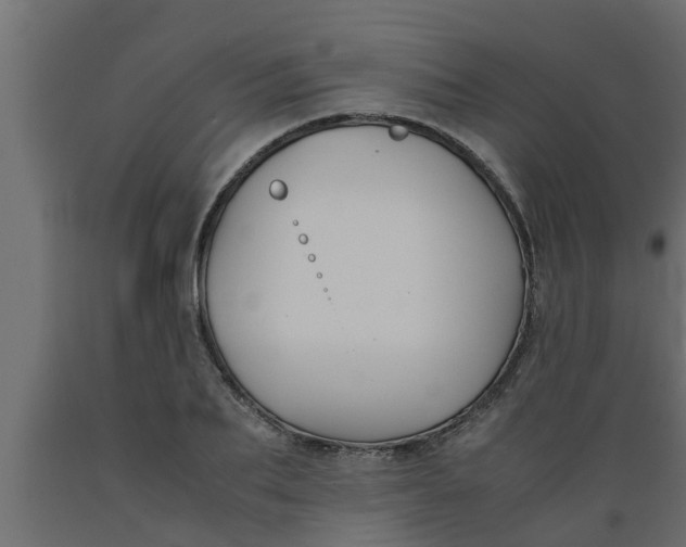 X0000089450887200707061240