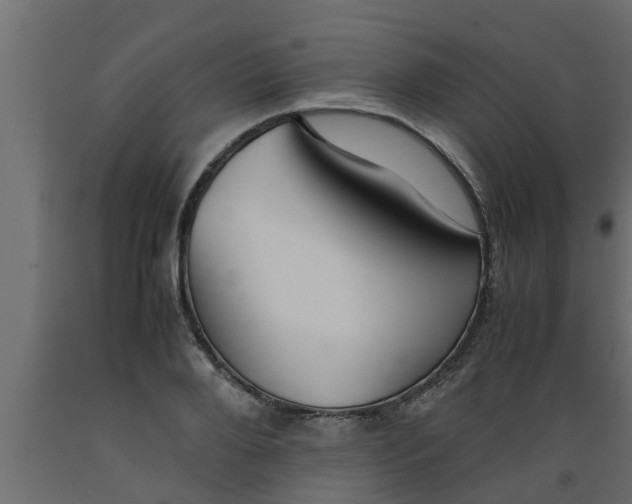 X0000089450888200707061240