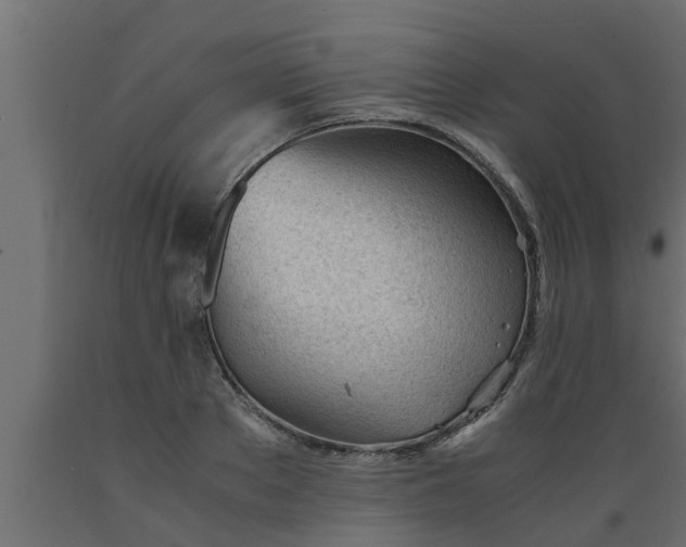 X0000089450889200707061240