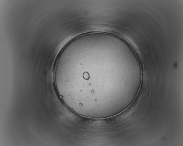 X0000089450891200707061240