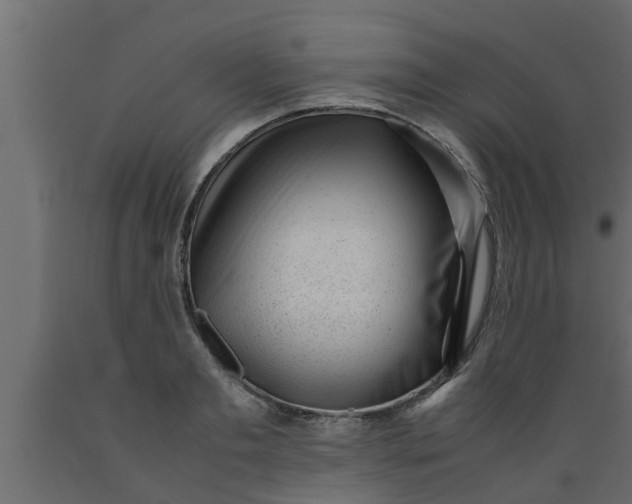 X0000089450893200707061240