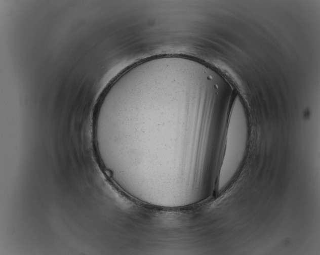 X0000089450894200707061240