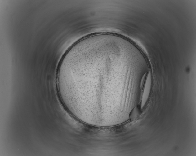 X0000089450895200707061240