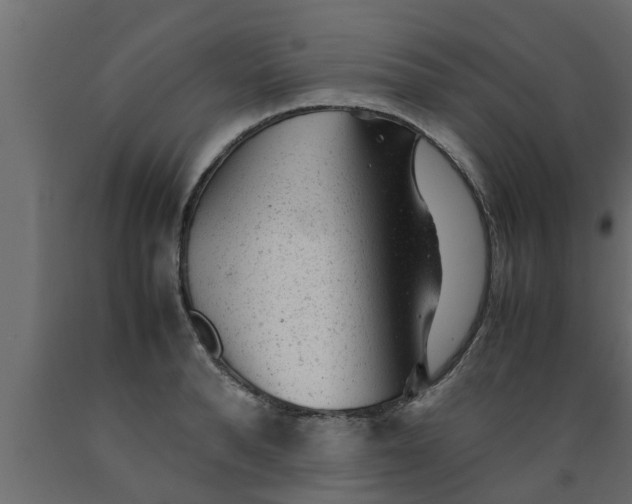 X0000089450896200707061240