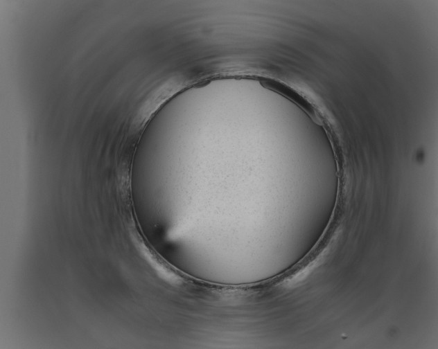 X0000089450897200707061240