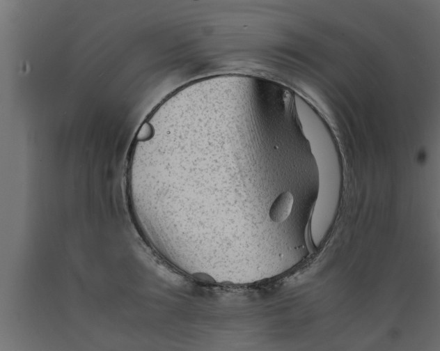 X0000089450899200707061240