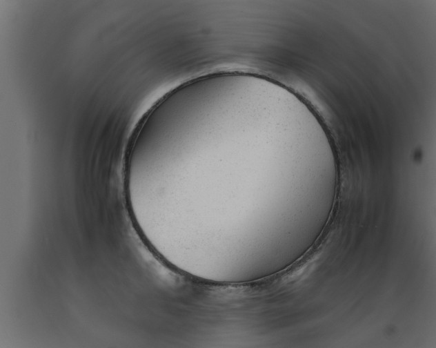 X0000089450902200707061240