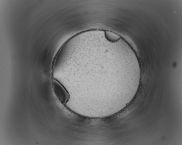 X0000089450903200707061240