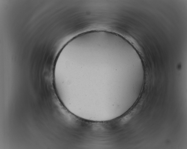 X0000089450904200707061240