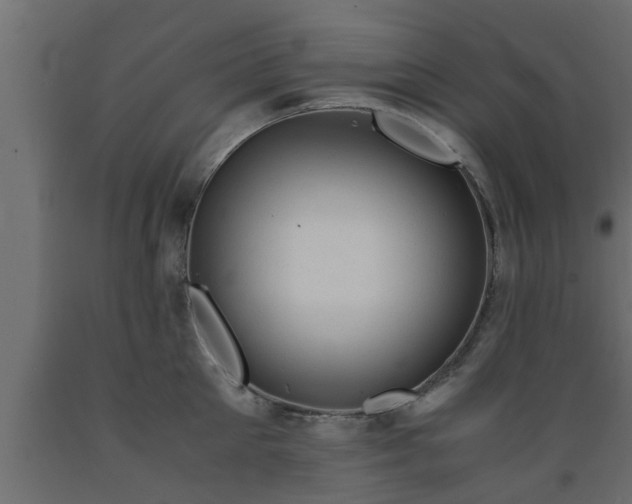 X0000089450905200707061240