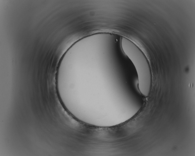 X0000089450906200707061240