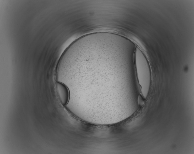 X0000089450907200707061240