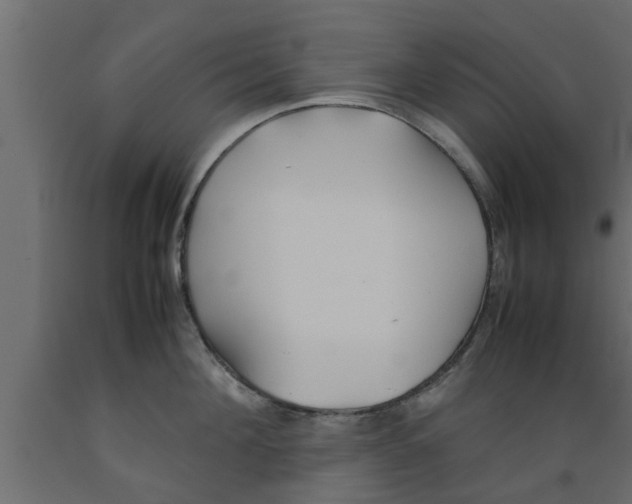 X0000089450908200707061240